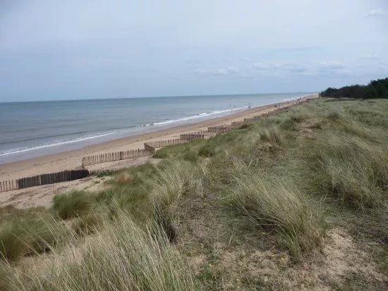 Holme Dunes National Nature Reserve