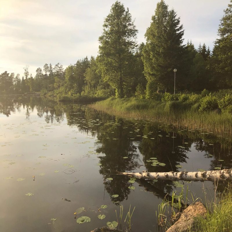 Villingsbergsgardens Camping