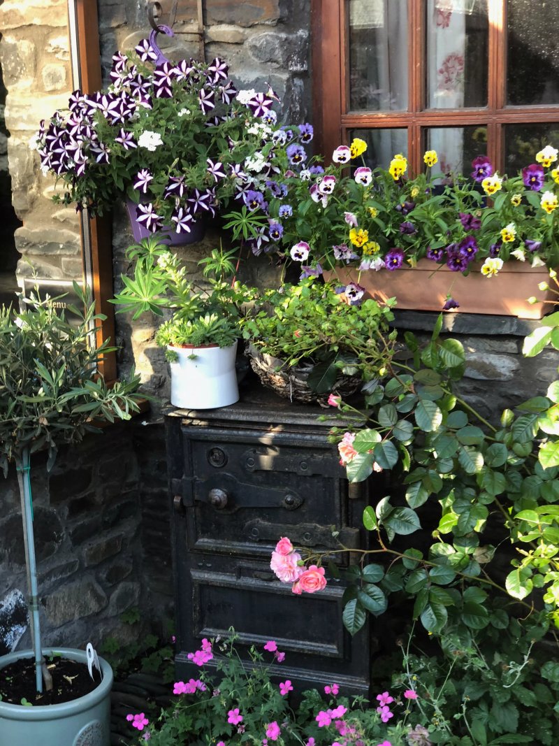 Sgubor Wyre Bed and Breakfast