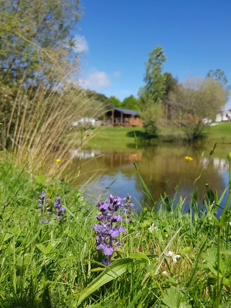 Camping la Motte