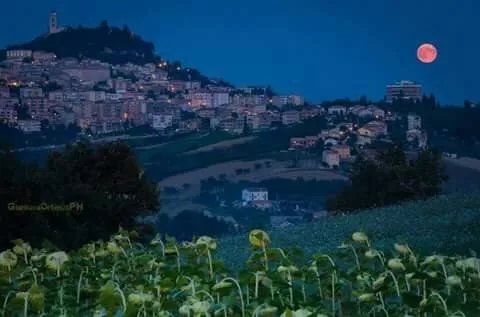 Il Piccolo Bosco
