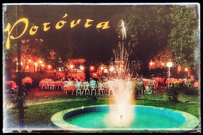 Rotonta