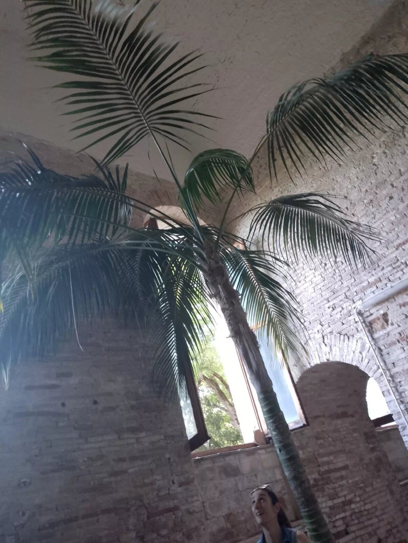 Orto Botanico
