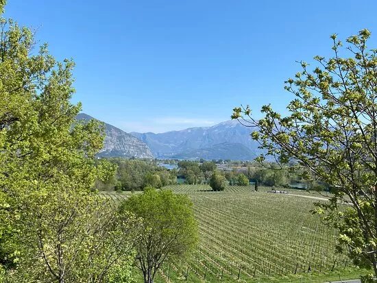 Franciacorta Tour