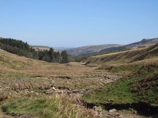 Cheviot Hills