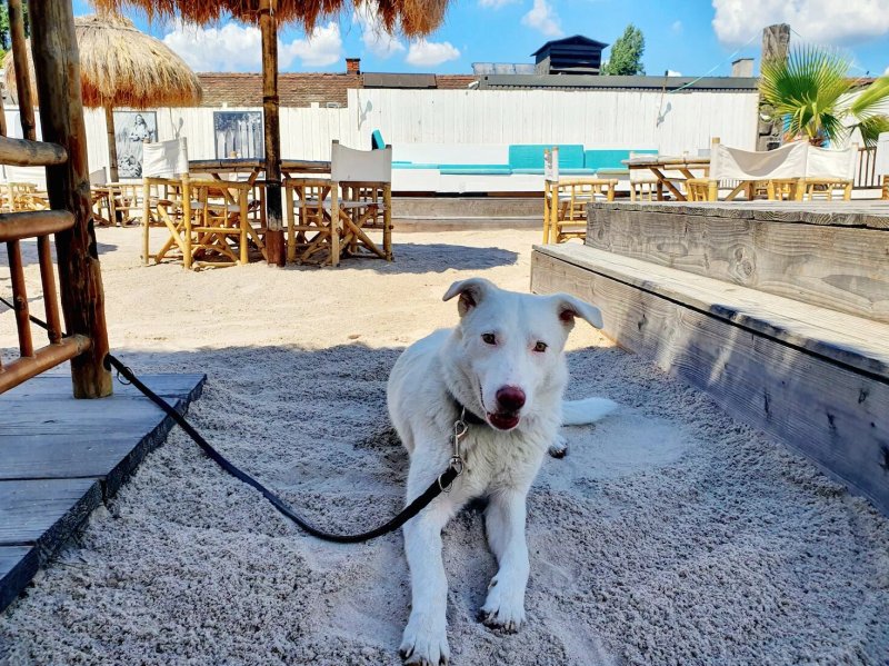 Casa Mia Beach Im Hip Island