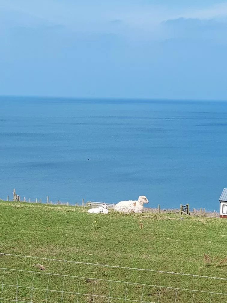 Helyg Fach Clubhouse