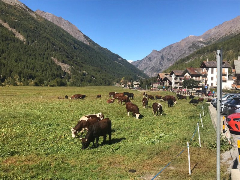 La Madonnina del Gran Paradiso - Wellness Hotel