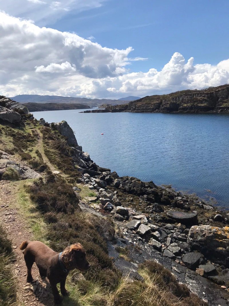 Calum's Road