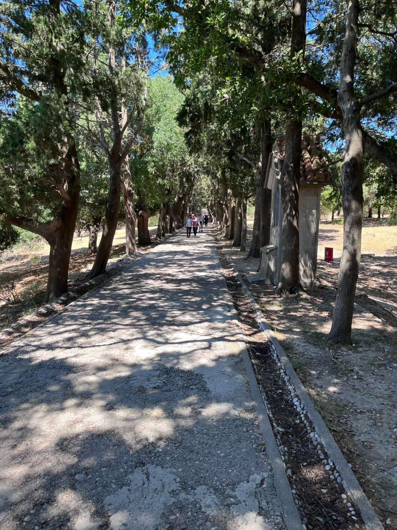 Via Dolorosa