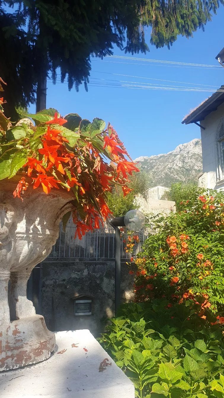 B&B Altracosa - VIlla Avellino
