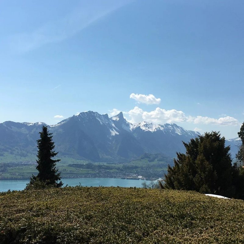SwissHut B&B