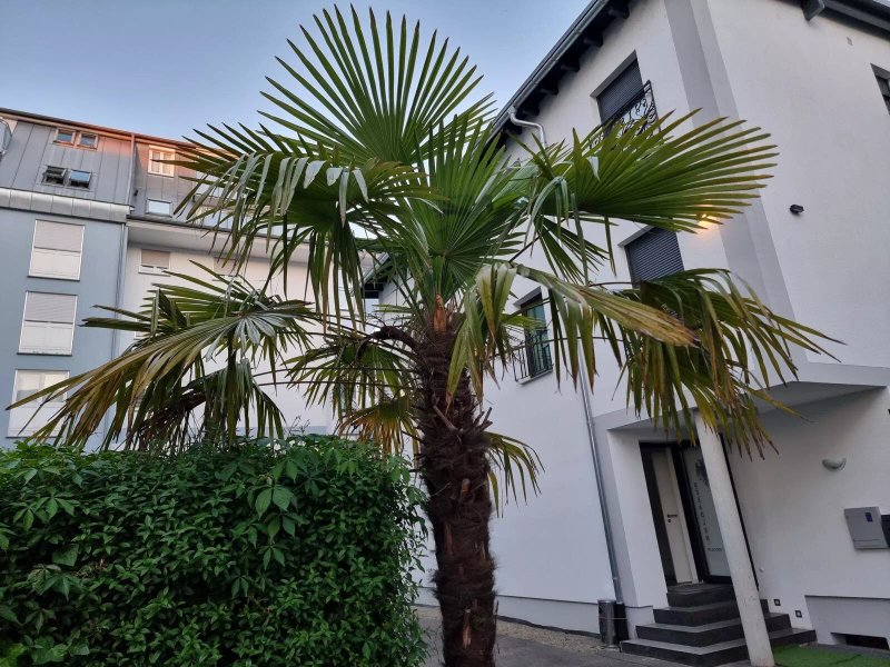 Hotel Seeadler