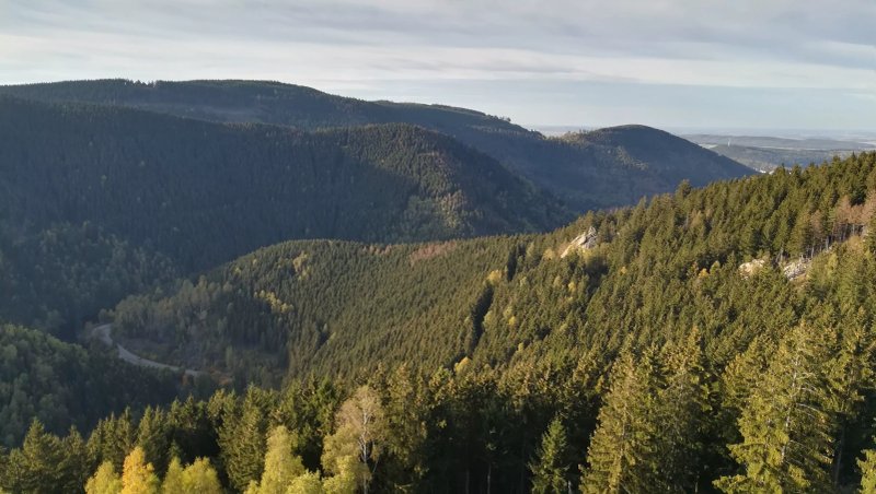 Harz  Hotel Waldhaus Im Okertal