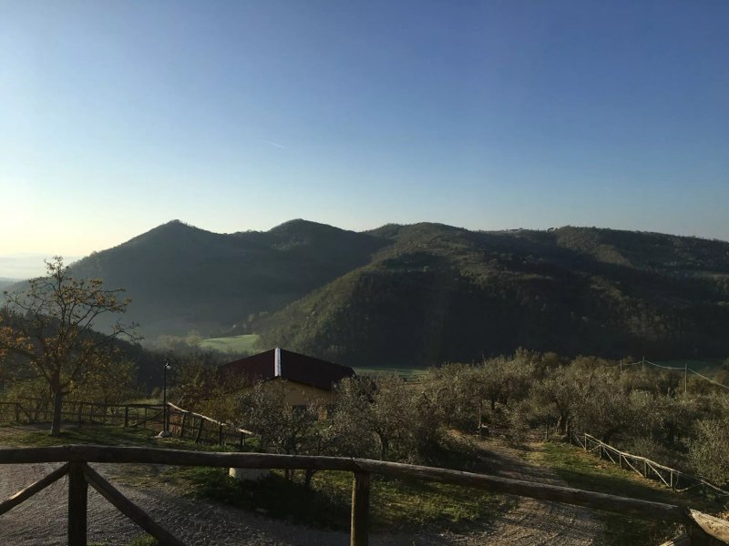 Agriturismo Il Monte