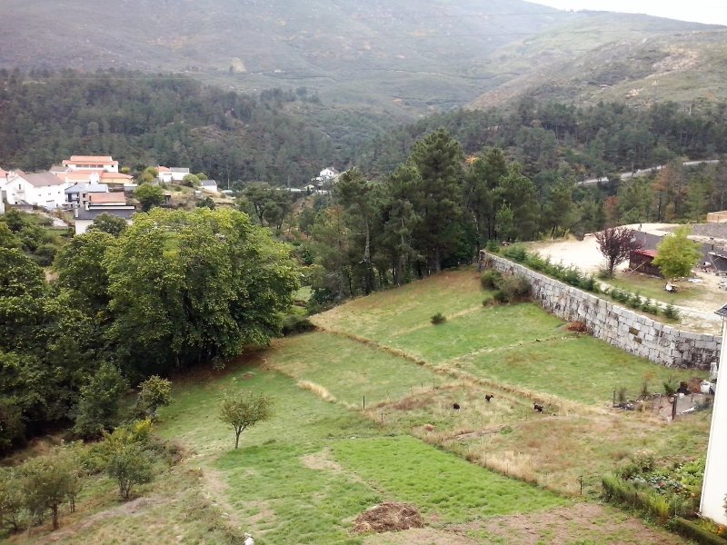 Monte Estrela