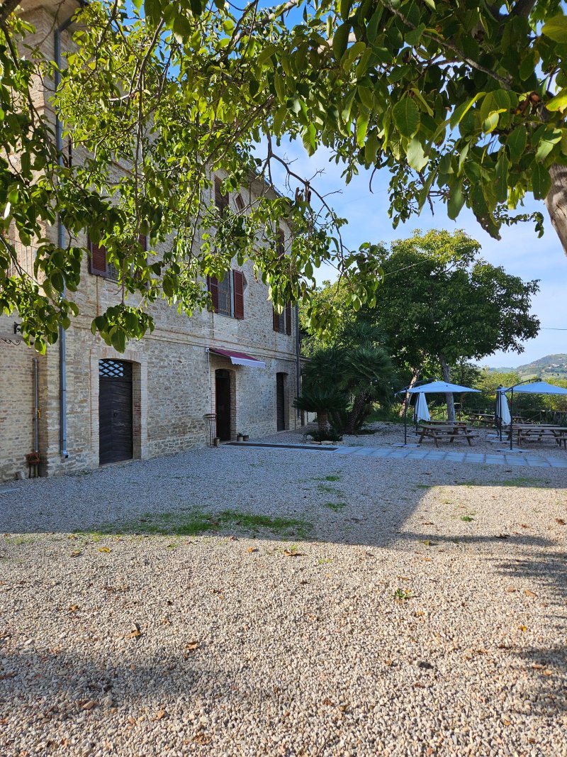 Agriturismo Conti di Monteverde Basso