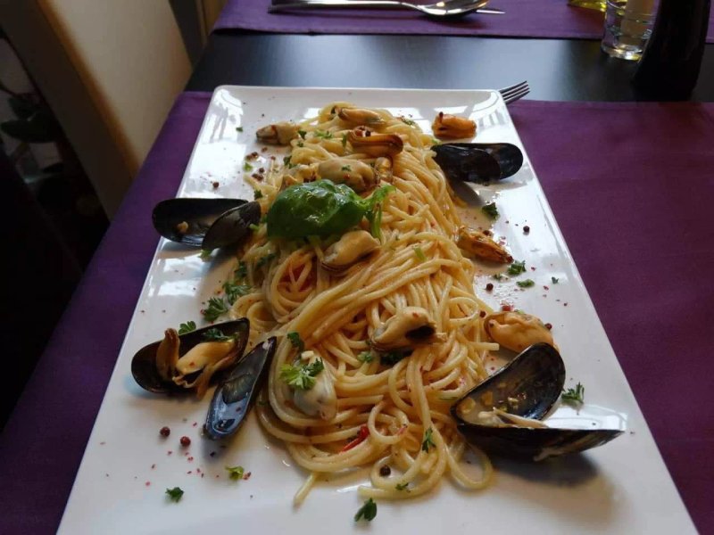 Fischkutter Ludwigshafen