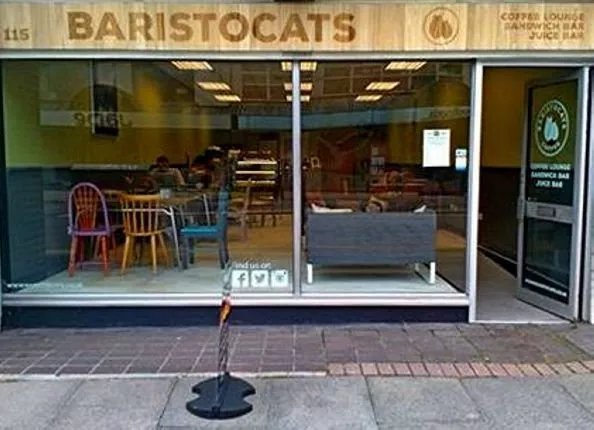 Baristocats Coffee Lounge
