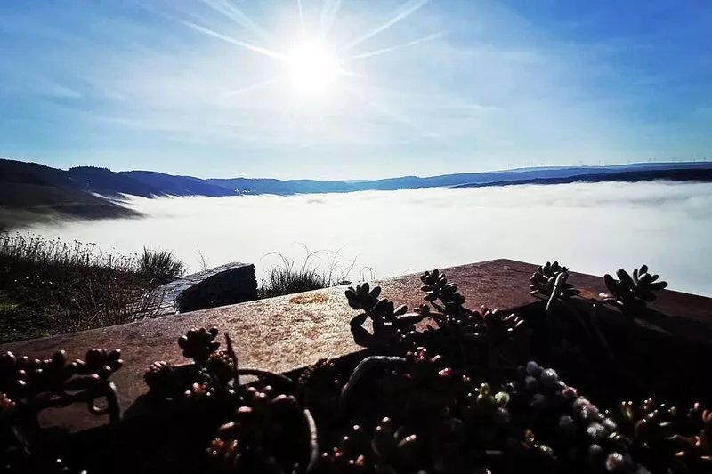 Sonnenufer II im EG - Sonnenufer Apartment und Moselwein