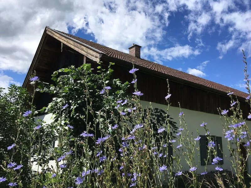 Welcome to Zukerhaus - also ideal as a home office