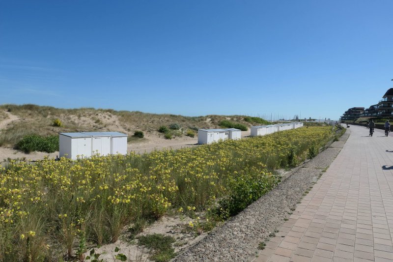 zoutestrand
