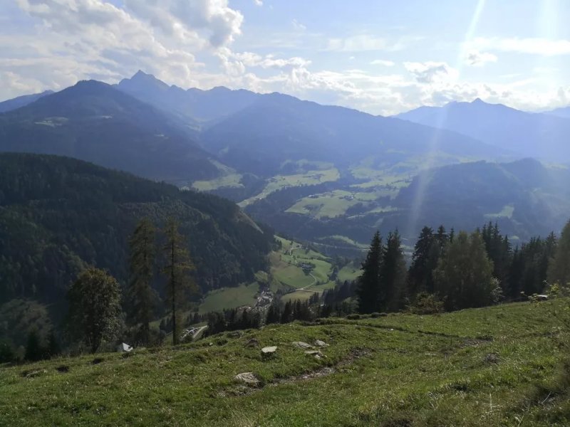 Meislsteinalm