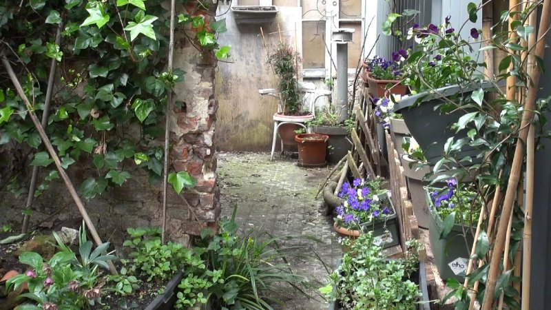 Secret Garden