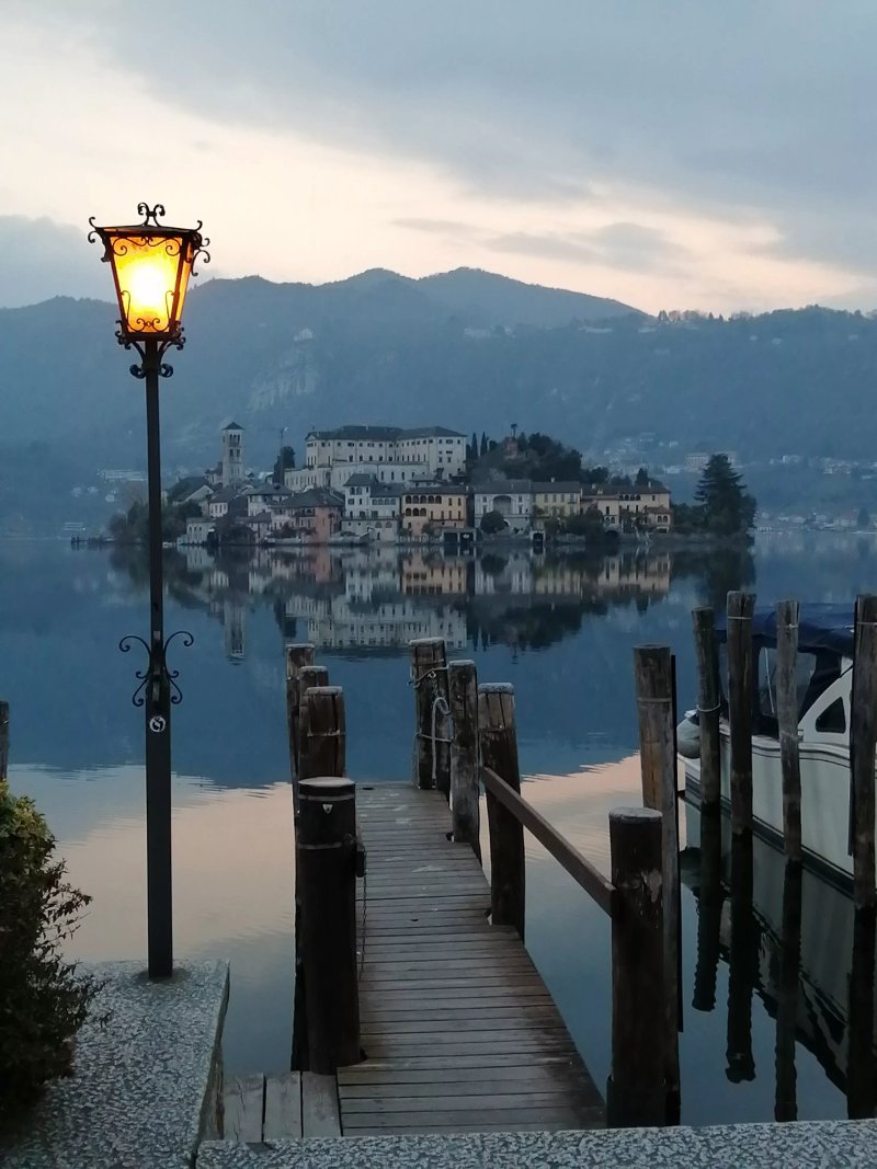 Seme di Faggio