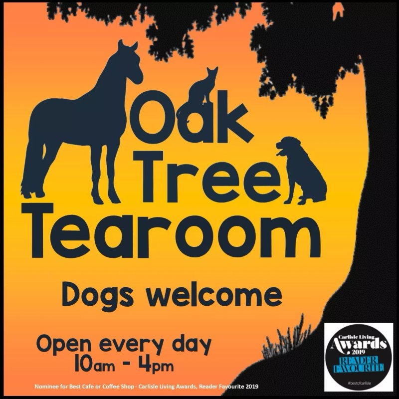 Oak Tree Animals' Charity