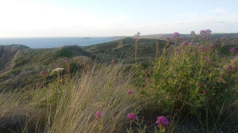 Sandy Acres Campsite