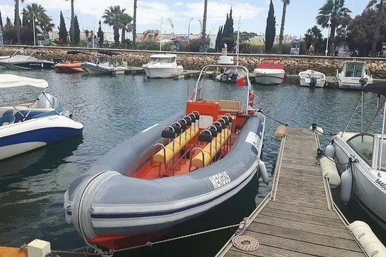 Lagos - Mergus Dolphin Watching
