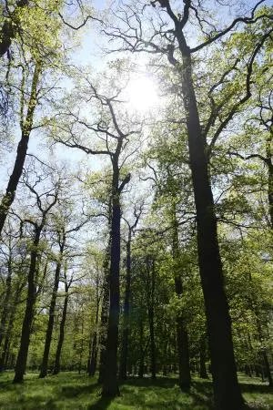 Hannover Tiergarten