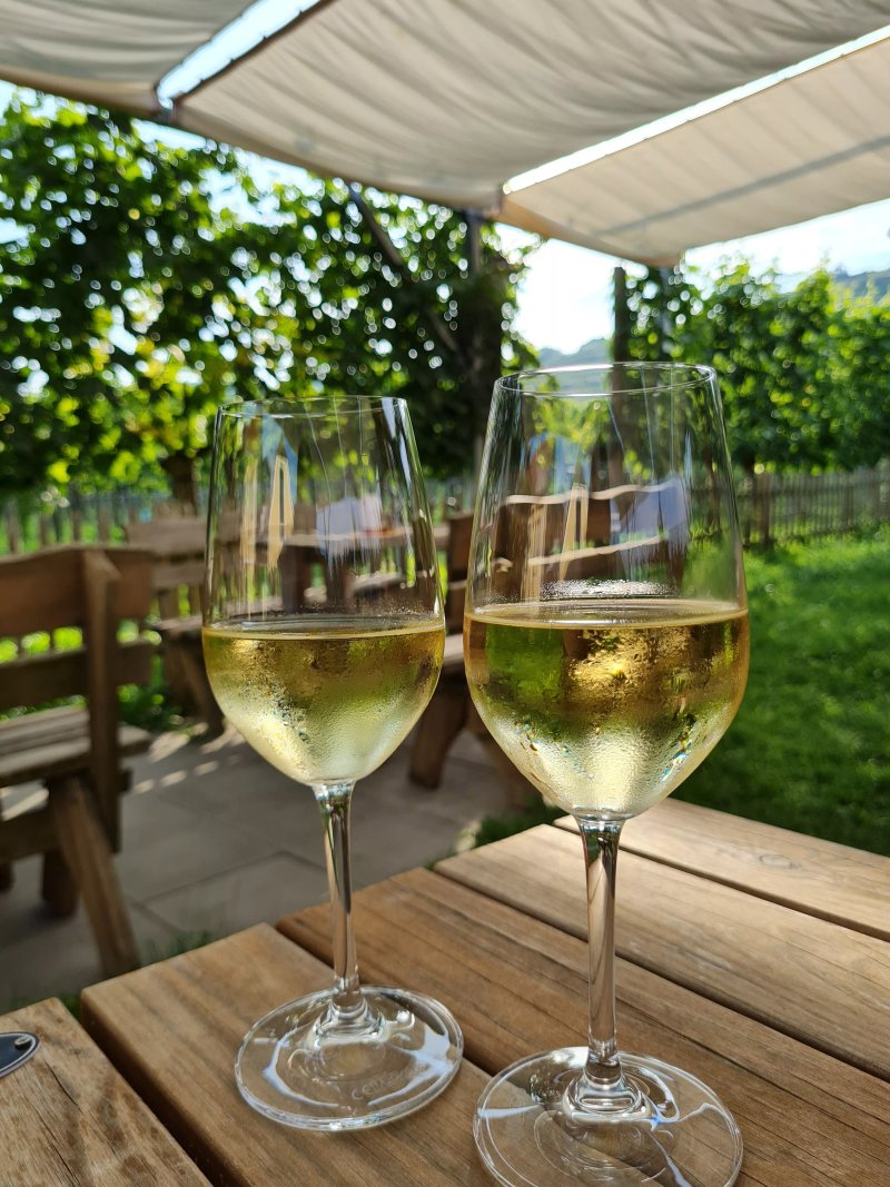 Weingut Hollmuller