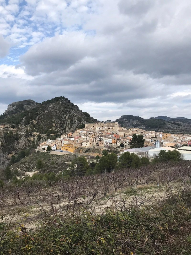 Bar Nou Catala