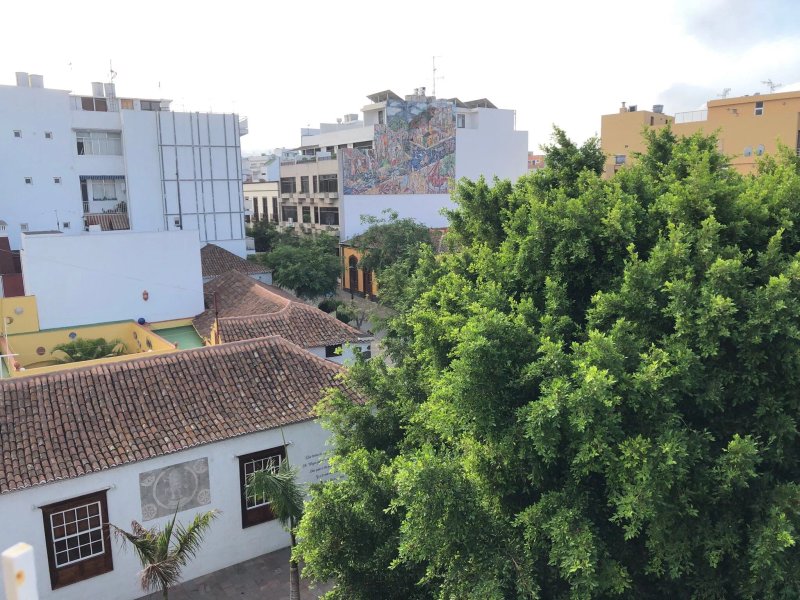 La Palma Hotel Eden