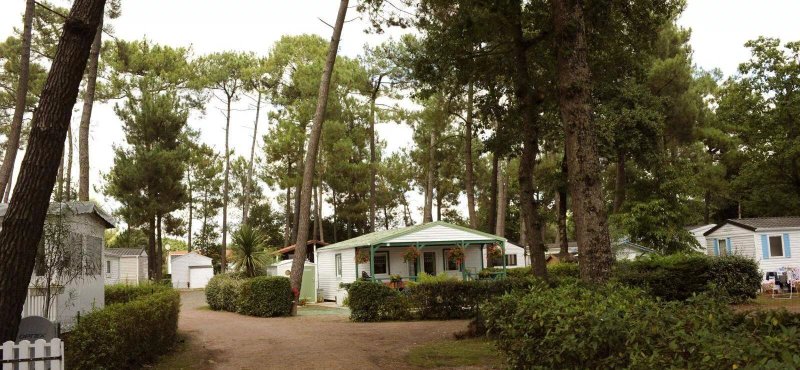 Camping Domaine de l'Orée des Pins