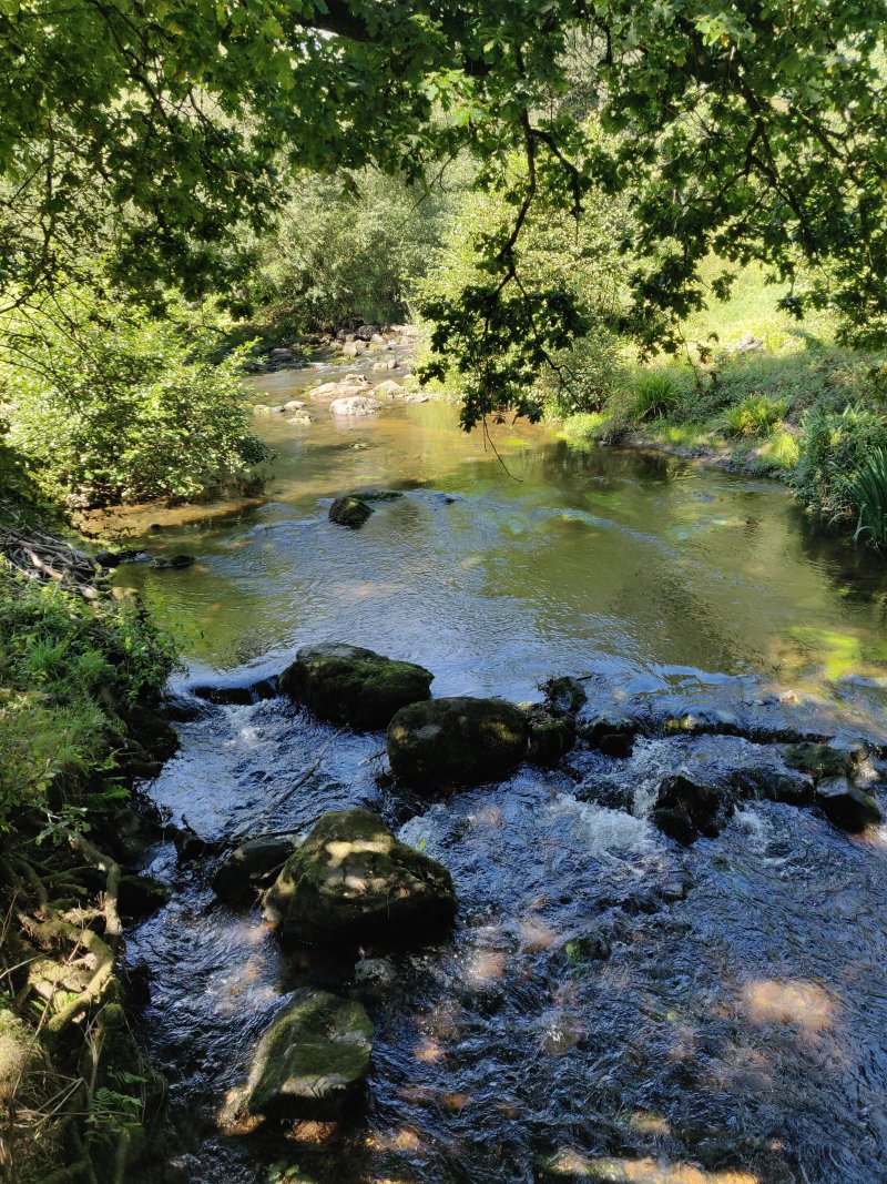 Pinàbre Campsite & Holiday Gites