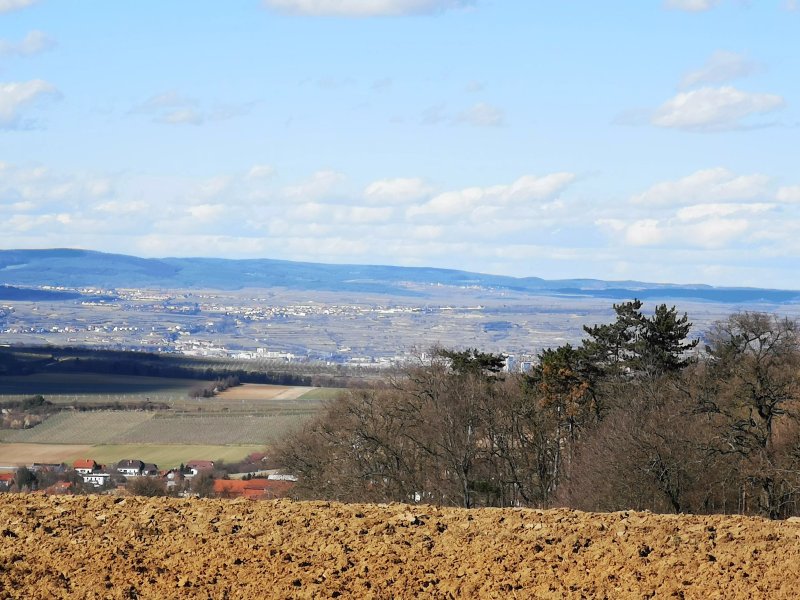 Gasthaus Zur schonen Aussicht