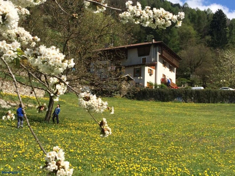 B&B Maso Zont