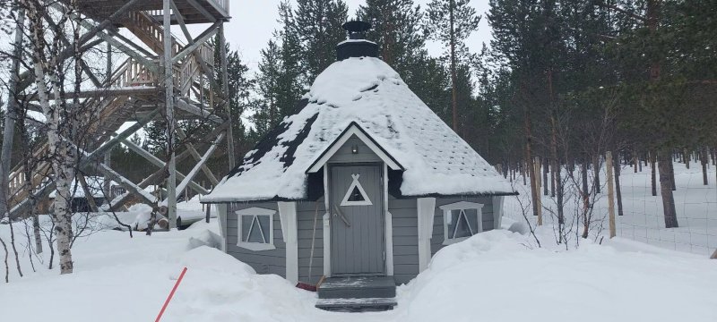 Lomatärppi