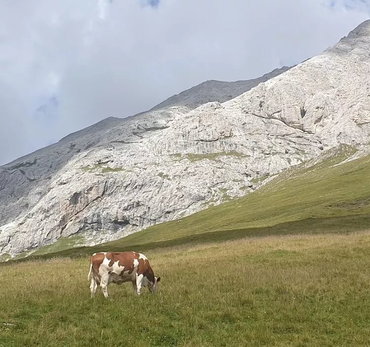 Malga Sassopiatto