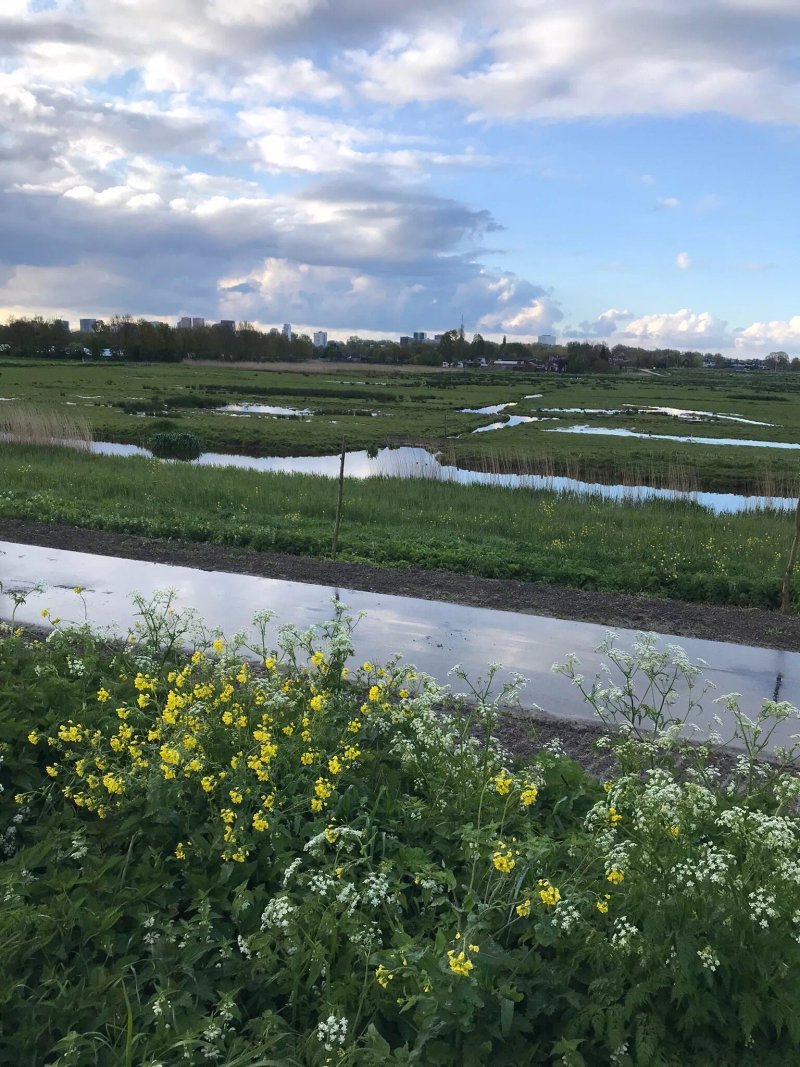 Tuinvereniging Kostverloren