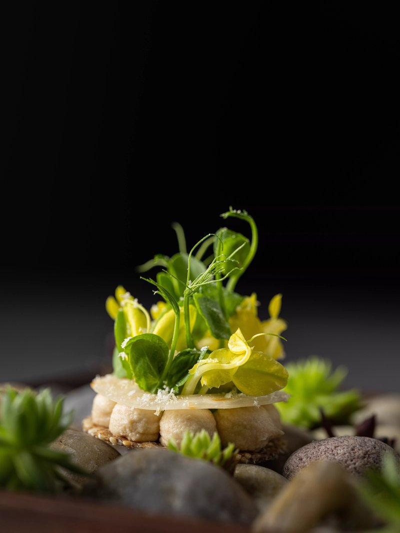 Platan Gourmet Restaurant