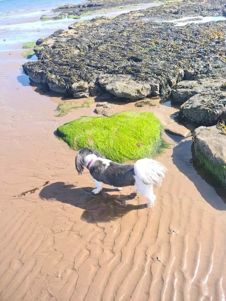 Seton Sands Holiday Village