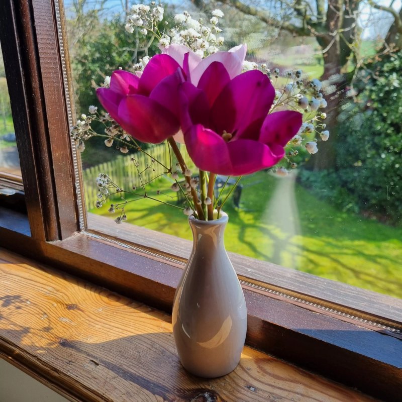 Vicarage Farmhouse Bed & Breakfast
