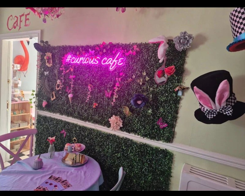The Curious Cafe And Gift Shop