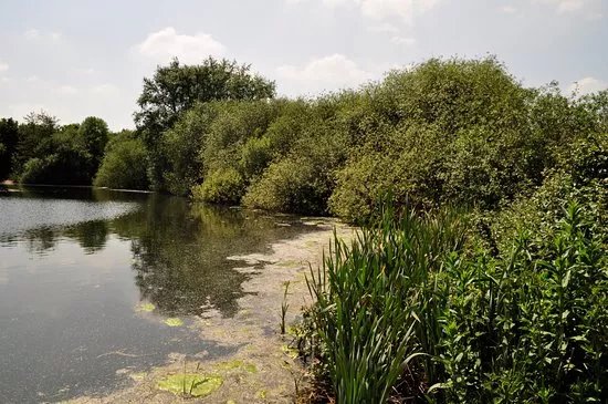 Belhus Wood Country park