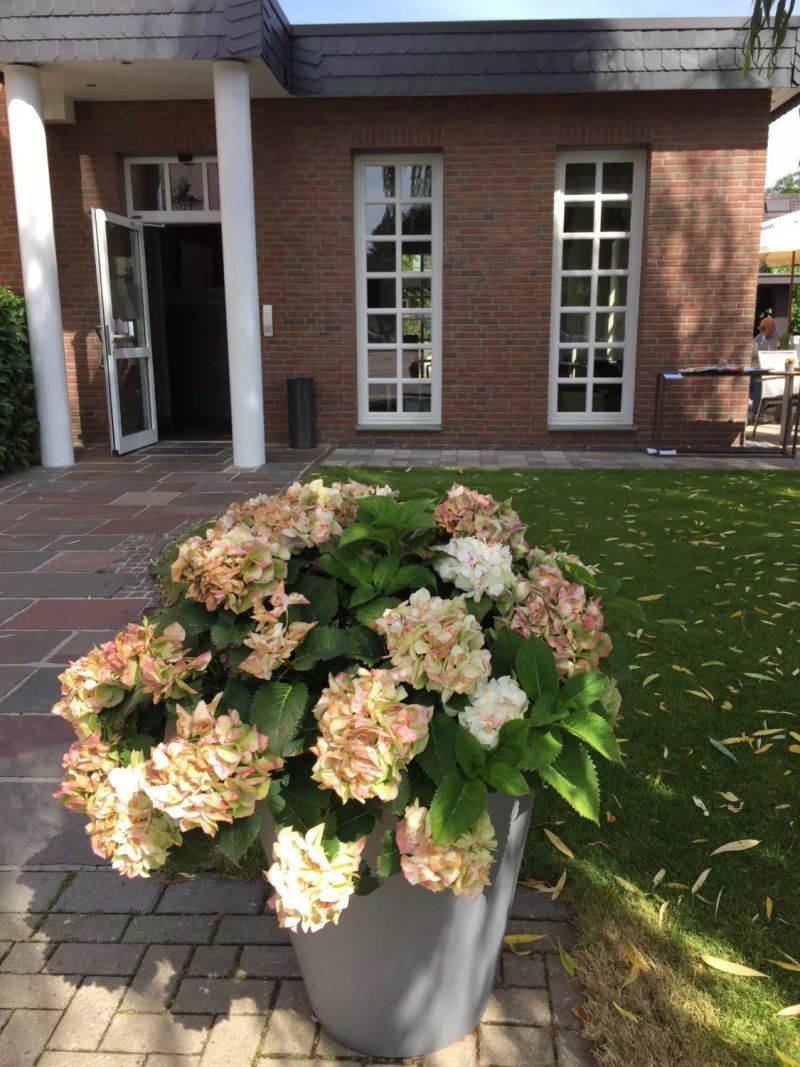 Fischerhaus