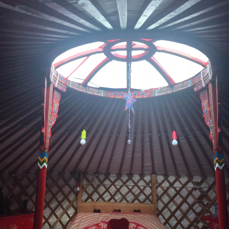 Glan Mydyr Woodland Yurts